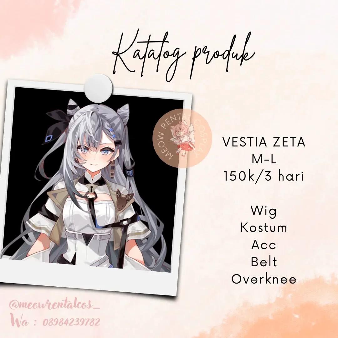 Vestia Zeta - Kostum & Wig