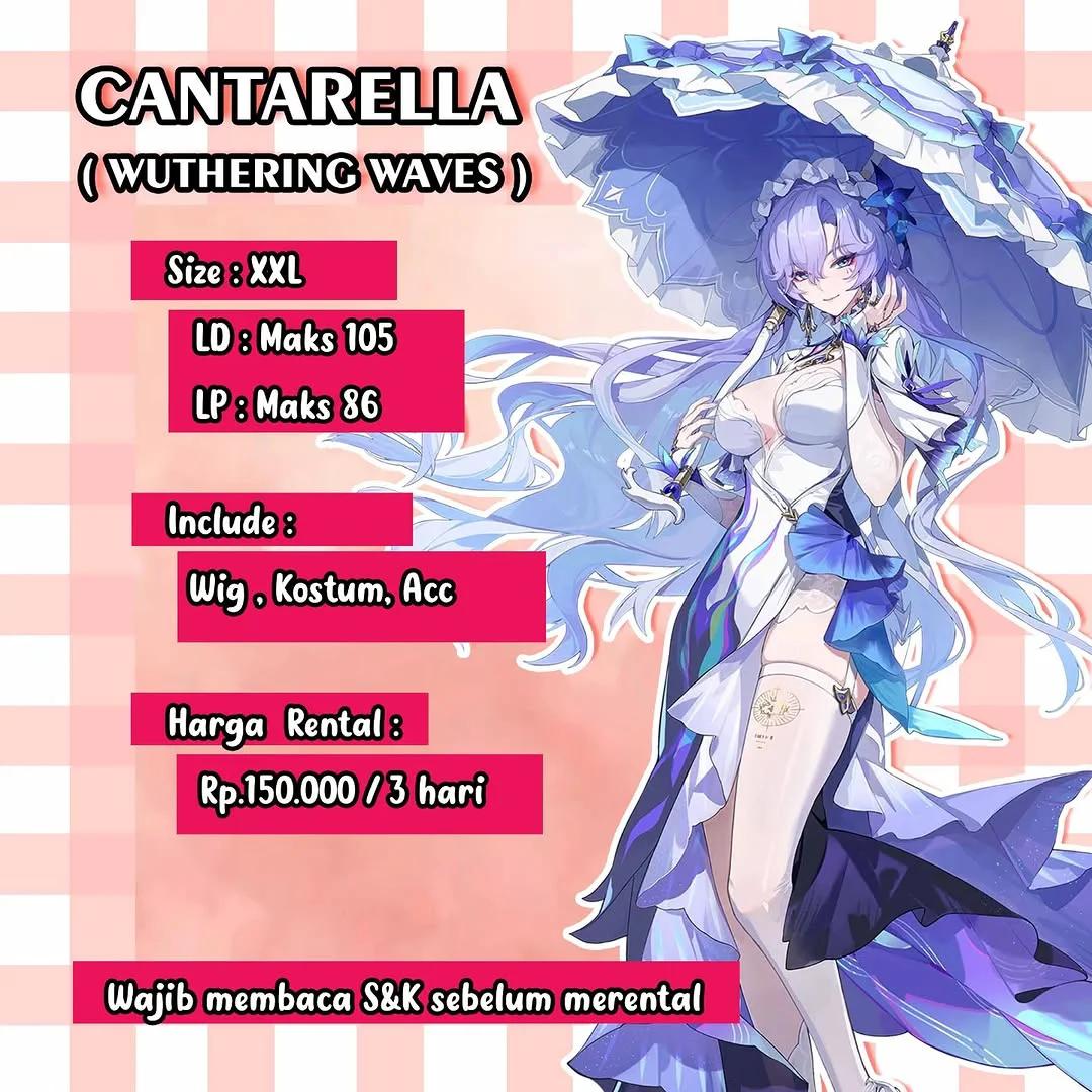 Cantarella Wuthering Waves - Kostum & Wig Set