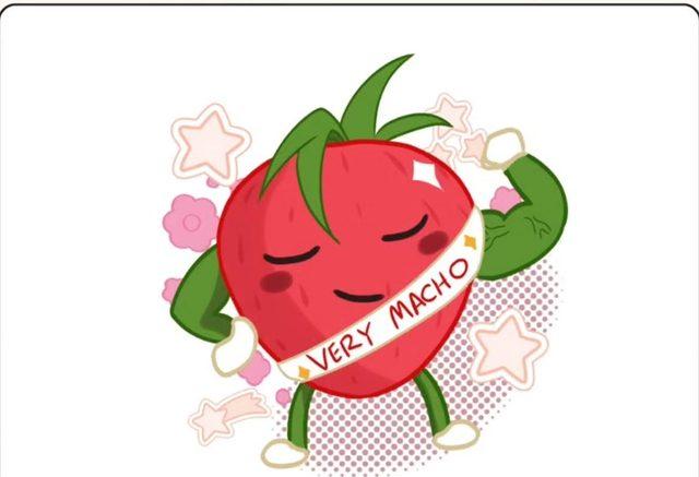 MATCHA MACHO