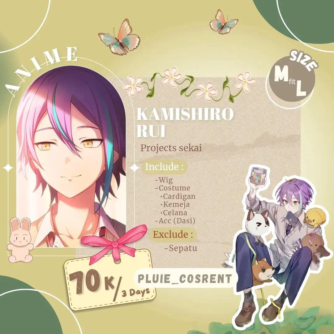 Kamishiro Rui - Costume