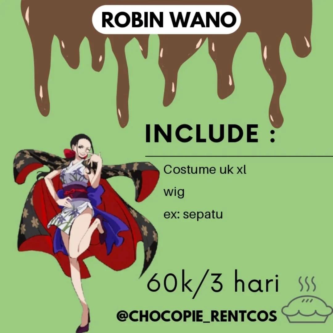 Robin One Piece - Costume, Wig & Accessories